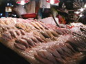 Pusan Fish Market